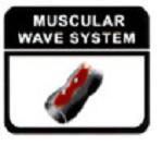 MUSCULAR WAVE SYSTEM logo